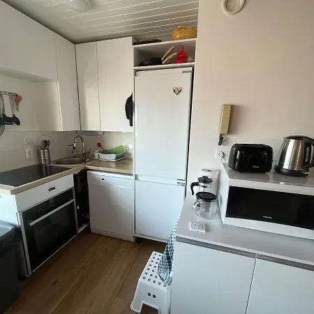 Apartment Chaleureux 3 Pieces + Mezzanine, 6/7 Pers, Poele A Bois, Balcon Ouest, Parking, Proche Centre Et Pistes - Fr-1-572-271 *